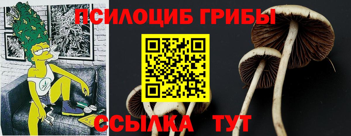 Галлюциногенные грибы мицелий  Вход с VPN  как найти наркотики  Углич 